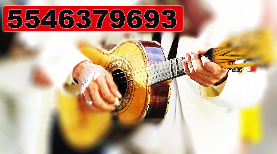 Mariachis en CDMX (Parte 2)