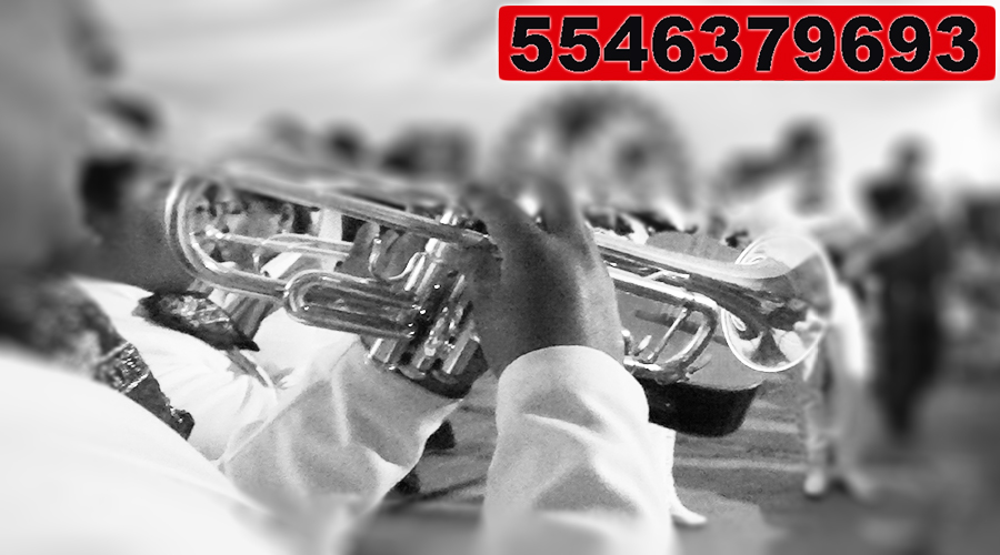 Mariachis en CDMX: cobertura total